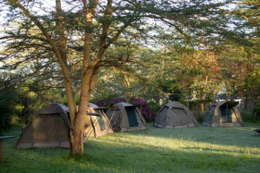 Burch's Resort Naivasha Camping